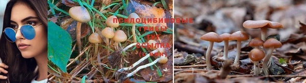 MESCALINE Алексеевка