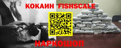 ALPHA PVP Камышлов