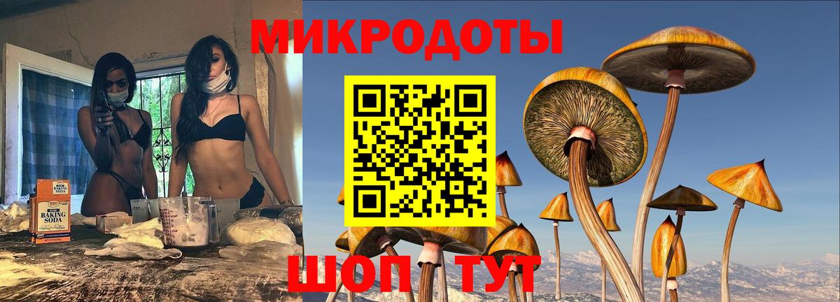 Заинск  где продают наркотики  Вход с VPN  Галлюциногенные грибы прущие грибы 
